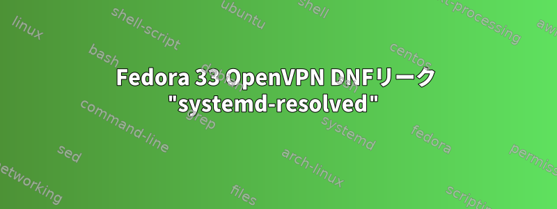 Fedora 33 OpenVPN DNFリーク "systemd-resolved"