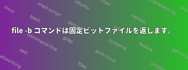 file -b コマンドは固定ビットファイルを返します。