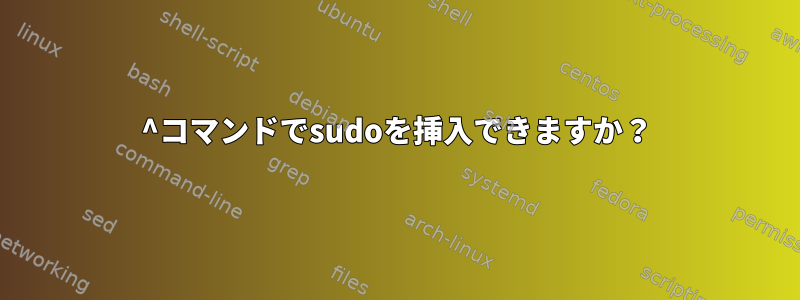 ^コマンドでsudoを挿入できますか？