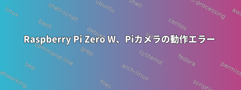 Raspberry Pi Zero W、Piカメラの動作エラー