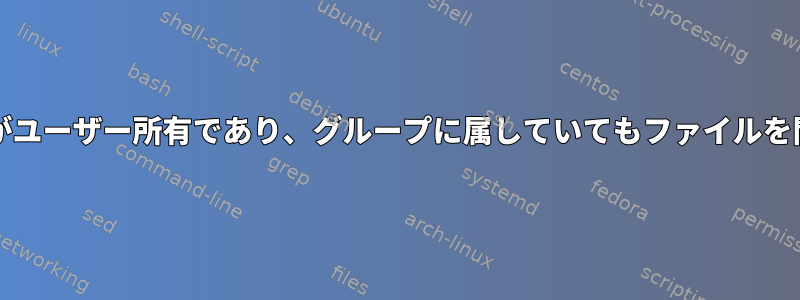 ディレクトリ/ファイルがユーザー所有であり、グループに属していてもファイルを開くことはできません。