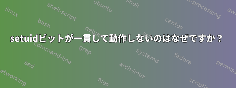 setuidビットが一貫して動作しないのはなぜですか？