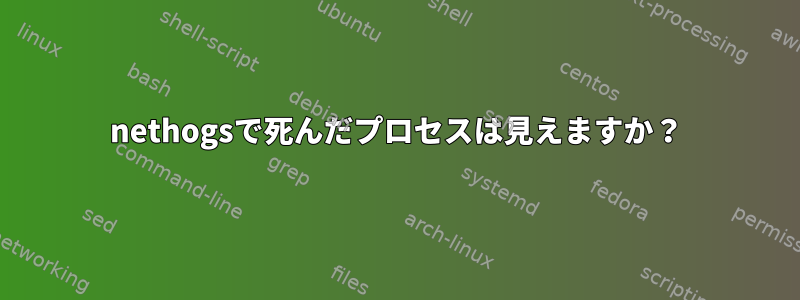 nethogsで死んだプロセスは見えますか？