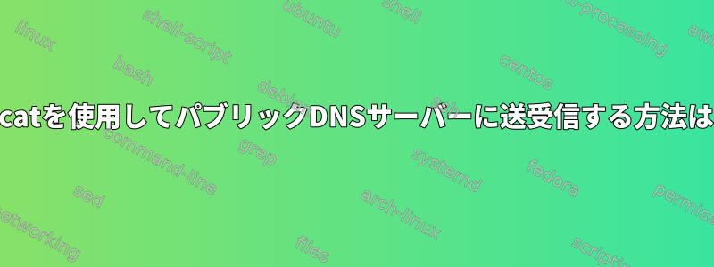 socatを使用してパブリックDNSサーバーに送受信する方法は？