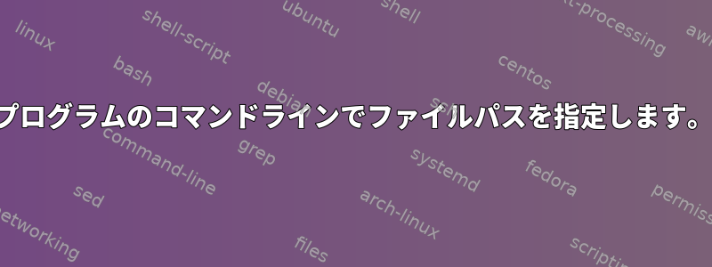 プログラムのコマンドラインでファイルパスを指定します。