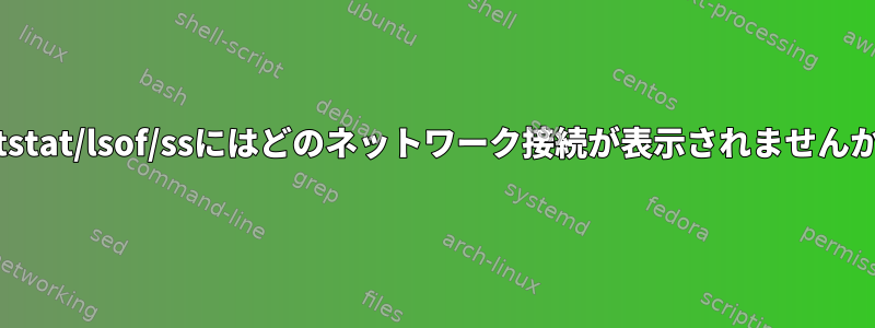 netstat/lsof/ssにはどのネットワーク接続が表示されませんか？