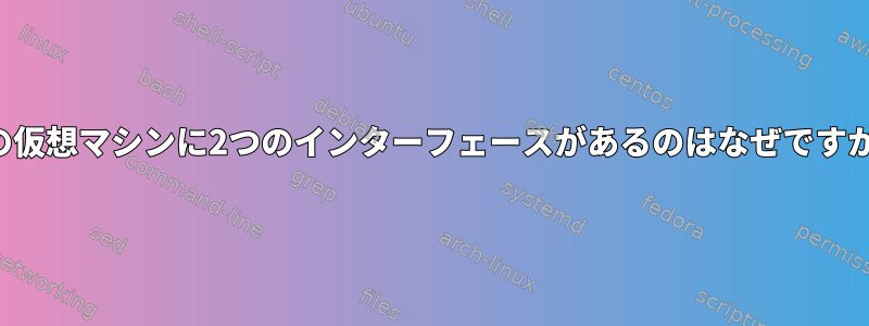 私の仮想マシンに2つのインターフェースがあるのはなぜですか？