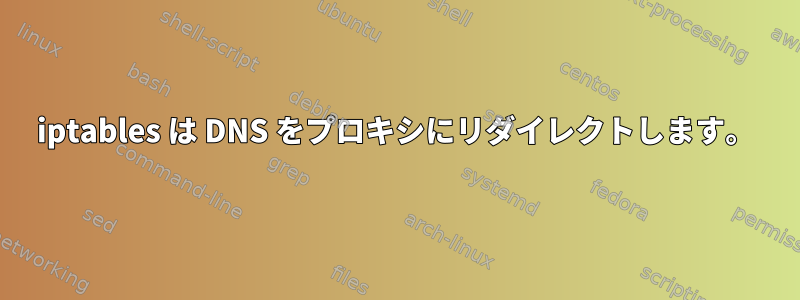 iptables は DNS をプロキシにリダイレクトします。