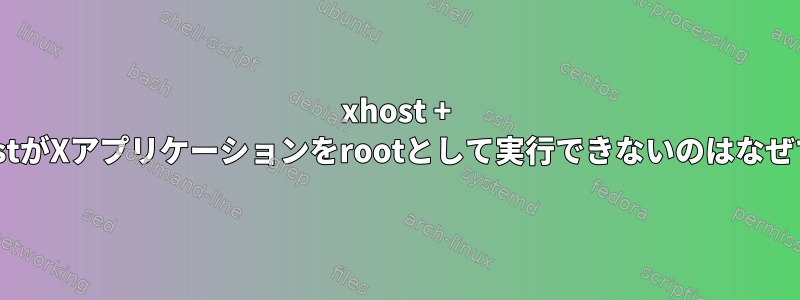 xhost + localhostがXアプリケーションをrootとして実行できないのはなぜですか？