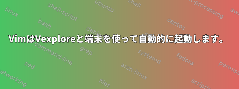 VimはVexploreと端末を使って自動的に起動します。