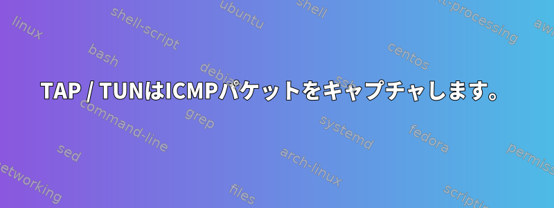 TAP / TUNはICMPパケットをキャプチャします。