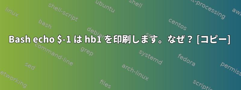 Bash echo $-1 は hb1 を印刷します。なぜ？ [コピー]