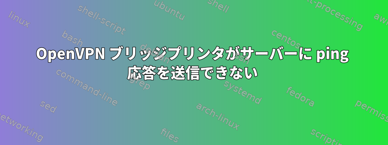 OpenVPN ブリッジプリンタがサーバーに ping 応答を送信できない