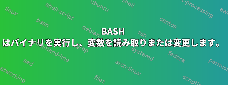 BASH はバイナリを実行し、変数を読み取りまたは変更します。