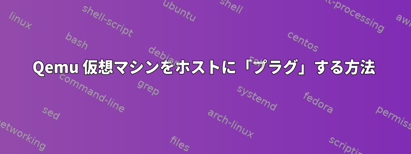 Qemu 仮想マシンをホストに「プラグ」する方法