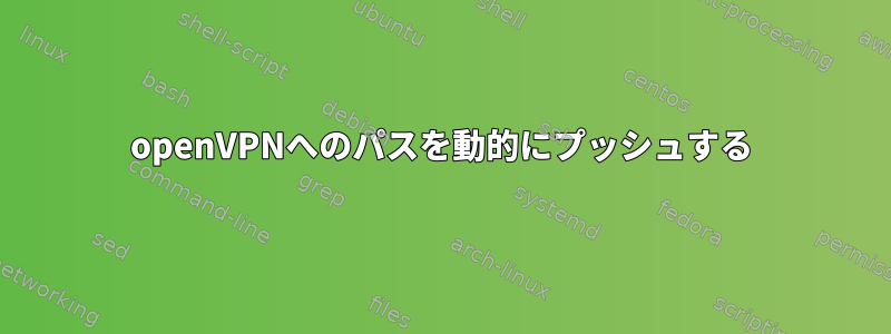 openVPNへのパスを動的にプッシュする