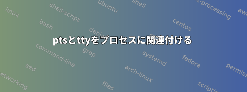 ptsとttyをプロセスに関連付ける