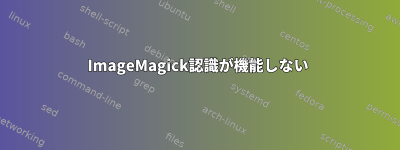 ImageMagick認識が機能しない