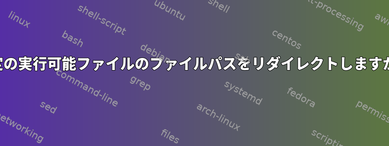 特定の実行可能ファイルのファイルパスをリダイレクトしますか？