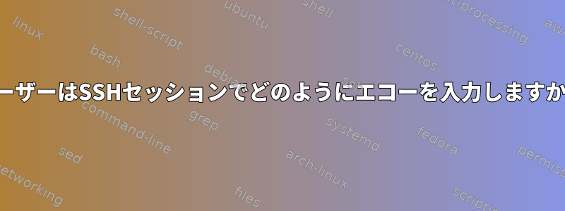 ユーザーはSSHセッションでどのようにエコーを入力しますか？