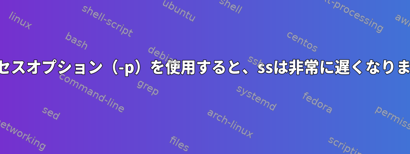 プロセスオプション（-p）を使用すると、ssは非常に遅くなります。