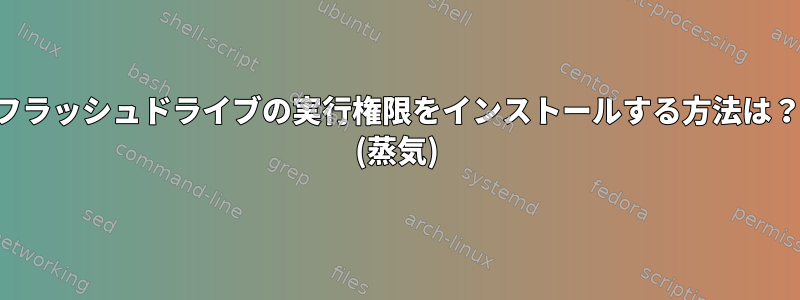 フラッシュドライブの実行権限をインストールする方法は？ (蒸気)