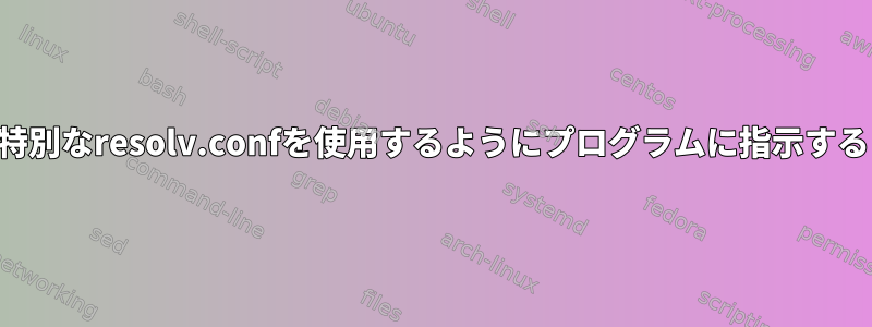 特別なresolv.confを使用するようにプログラムに指示する