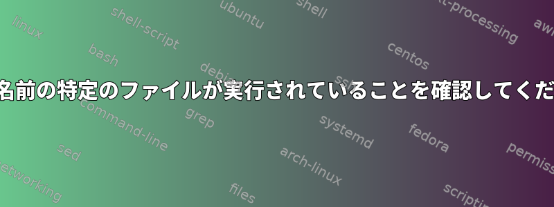 特定の名前の特定のファイルが実行されていることを確認してください。