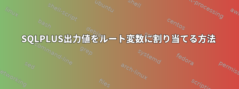 SQLPLUS出力値をルート変数に割り当てる方法