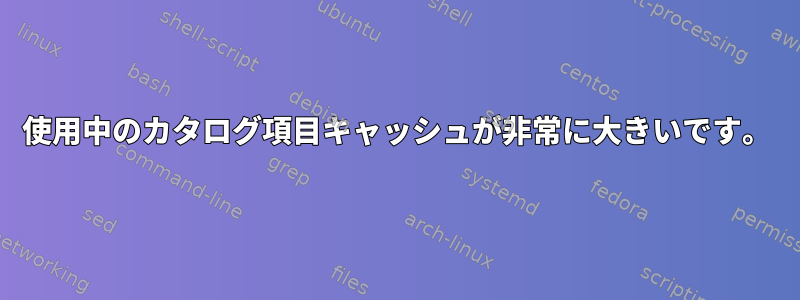 使用中のカタログ項目キャッシュが非常に大きいです。