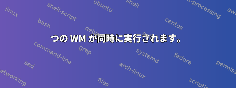 2 つの WM が同時に実行されます。