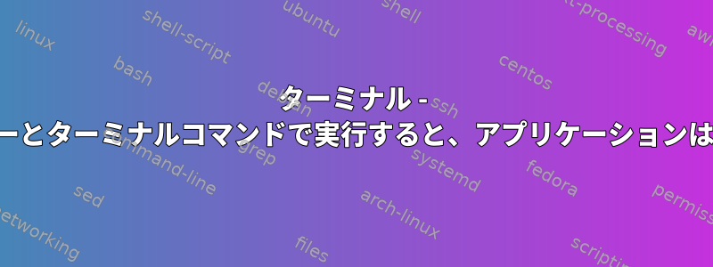 ターミナル - ターミナルパラメーターとターミナルコマンドで実行すると、アプリケーションは異なる動作をします。