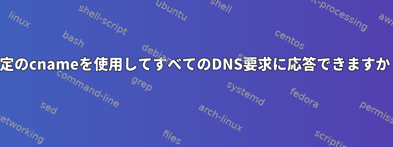 特定のcnameを使用してすべてのDNS要求に応答できますか？