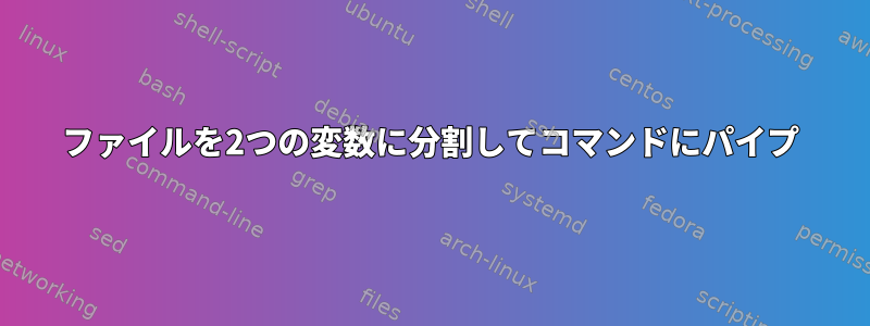 ファイルを2つの変数に分割してコマンドにパイプ