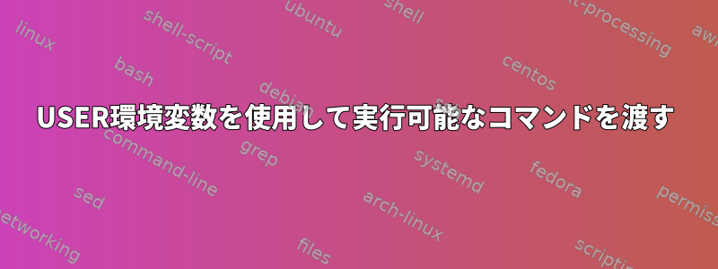 USER環境変数を使用して実行可能なコマンドを渡す