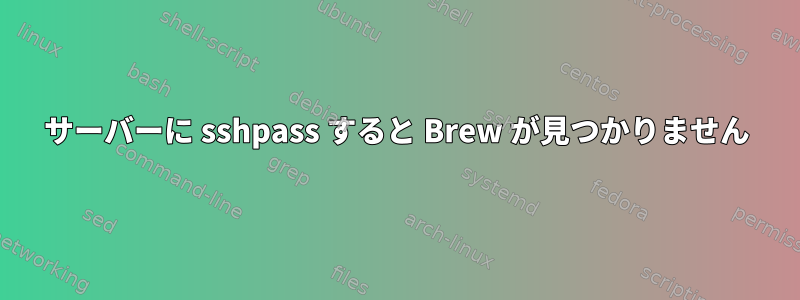 サーバーに sshpass すると Brew が見つかりません