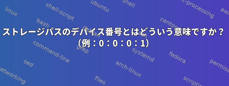 ストレージパスのデバイス番号とはどういう意味ですか？ （例：0：0：0：1）