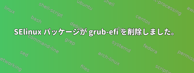 SElinux パッケージが grub-efi を削除しました。