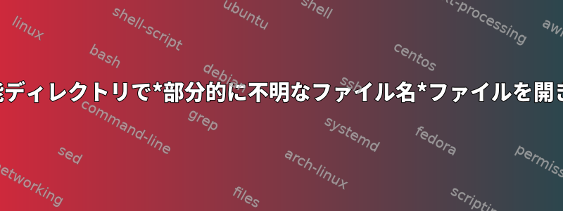 実行可能ディレクトリで*部分的に不明なファイル名*ファイルを開きます。