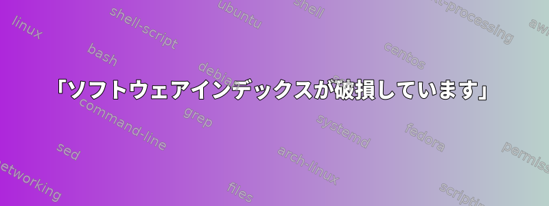 「ソフトウェアインデックスが破損しています」