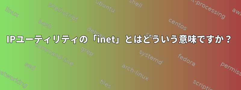 IPユーティリティの「inet」とはどういう意味ですか？