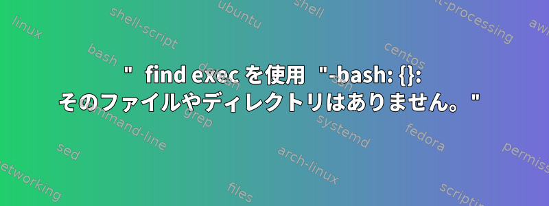 " find exec を使用 "-bash: {}: そのファイルやディレクトリはありません。"