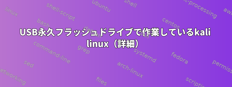 USB永久フラッシュドライブで作業しているkali linux（詳細）