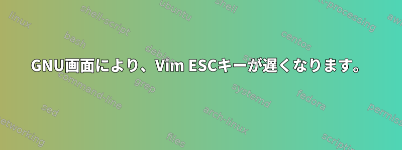 GNU画面により、Vim ESCキーが遅くなります。