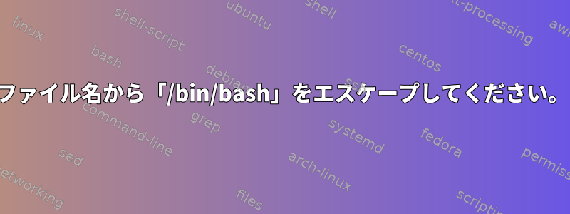 ファイル名から「/bin/bash」をエスケープしてください。