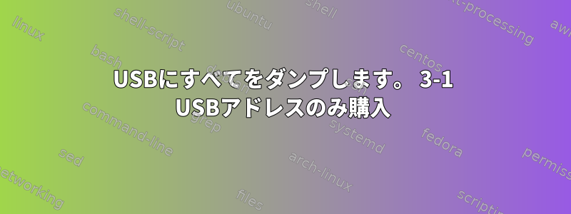 USBにすべてをダンプします。 3-1 USBアドレスのみ購入