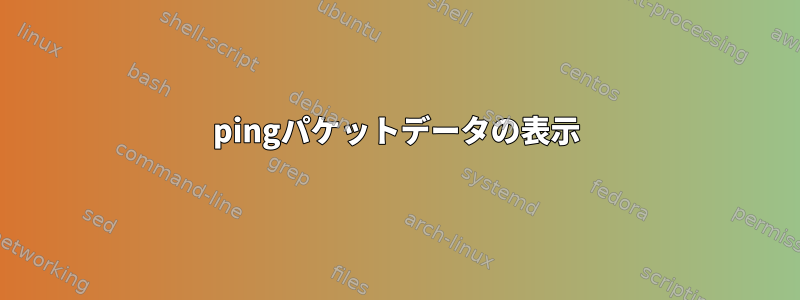 pingパケットデータの表示