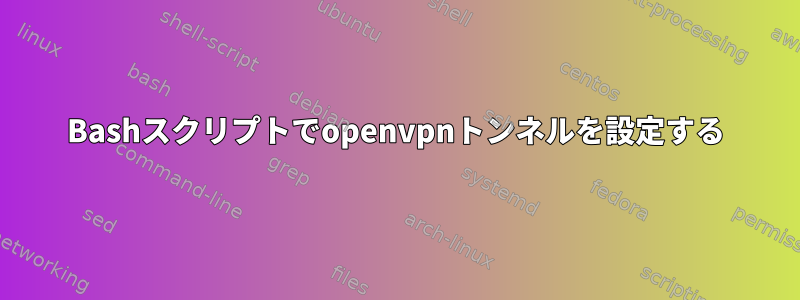 Bashスクリプトでopenvpnトンネルを設定する