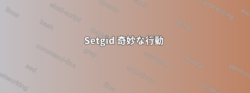 Setgid 奇妙な行動