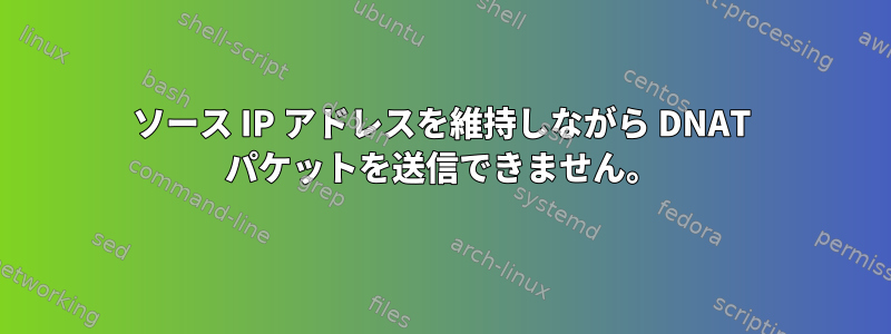 ソース IP アドレスを維持しながら DNAT パケットを送信できません。